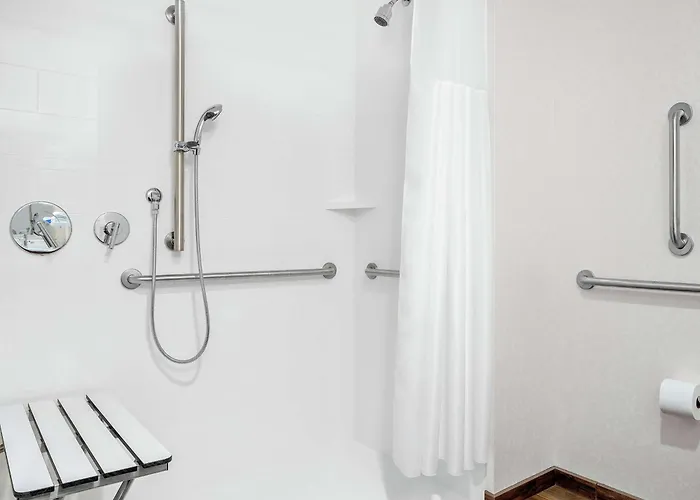 Hampton Mccormick Place Hotel 3*
