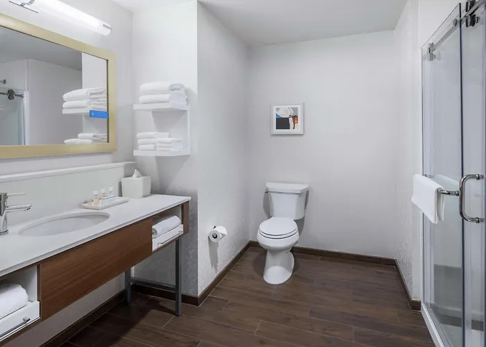 Hotel Hampton Mccormick Place